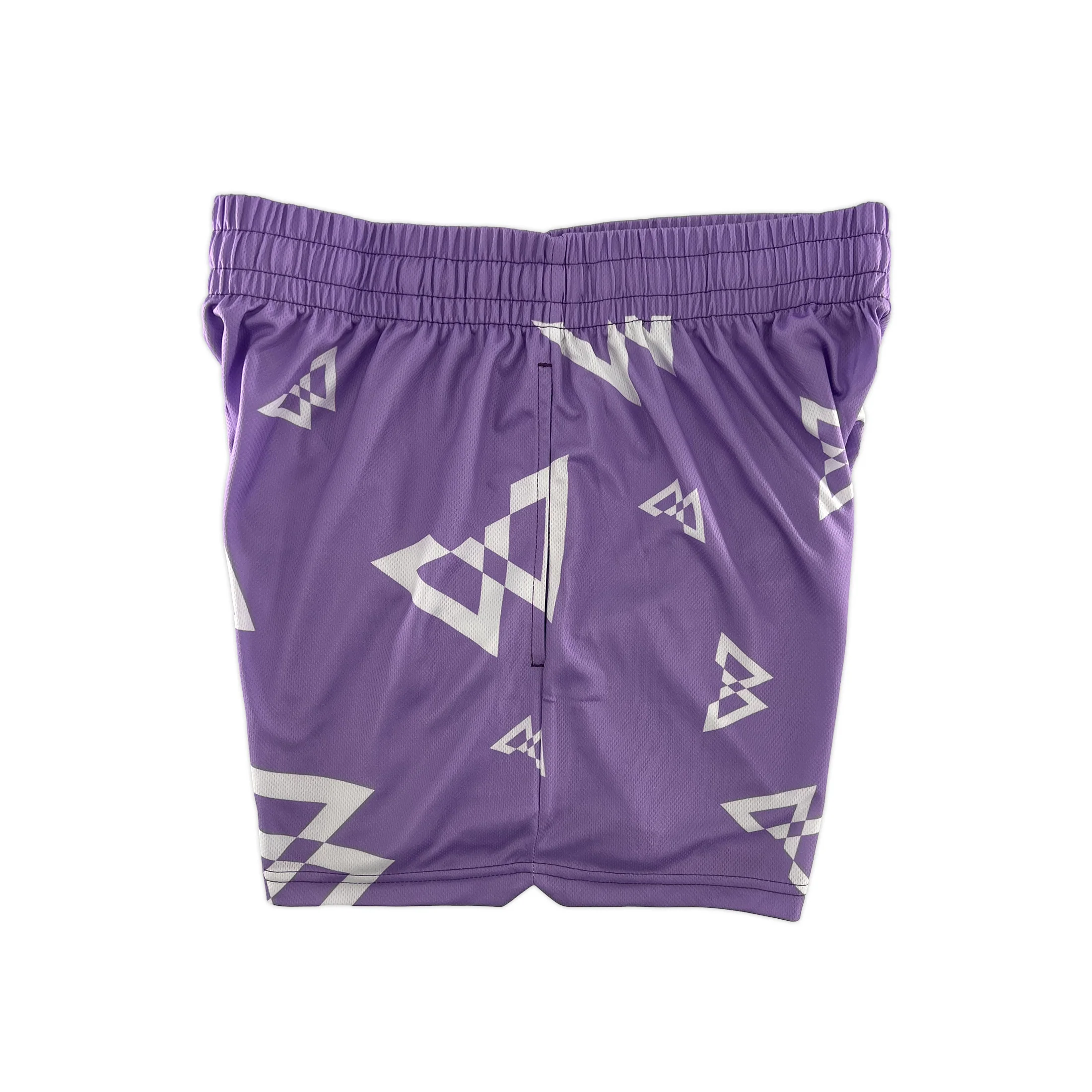 Beastmode Canvas Print Shorts (Violet/White) - Image 3
